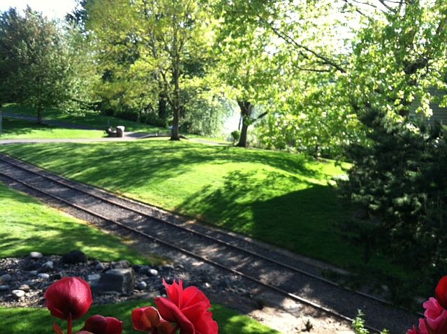 riverview from deck