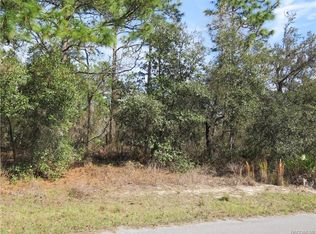 11 Primula Ct E, Homosassa, FL 34446