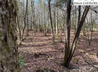 Lot 23 Holly Run, Glade Valley, NC 28627