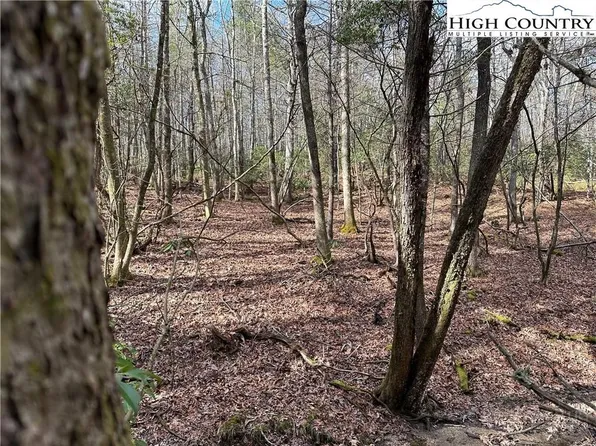 Lot 23 Holly Run, Glade Valley, NC 28627