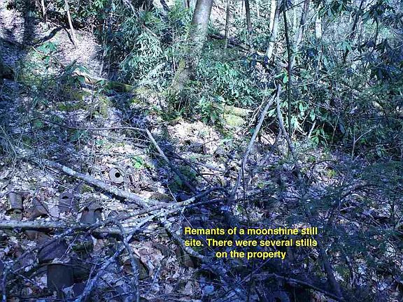 4th image of 0 Ball Hollow Rd Lot 0
