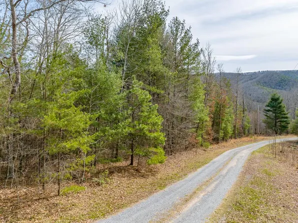 13 S Sunset Ln, Bland, VA 24315