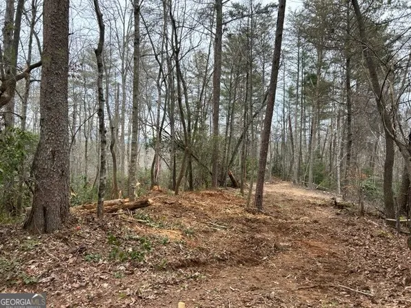 2 Pine Rd, Dahlonega, GA 30533