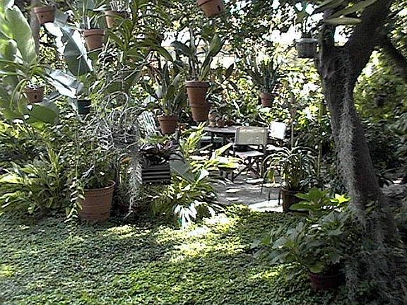 patio area