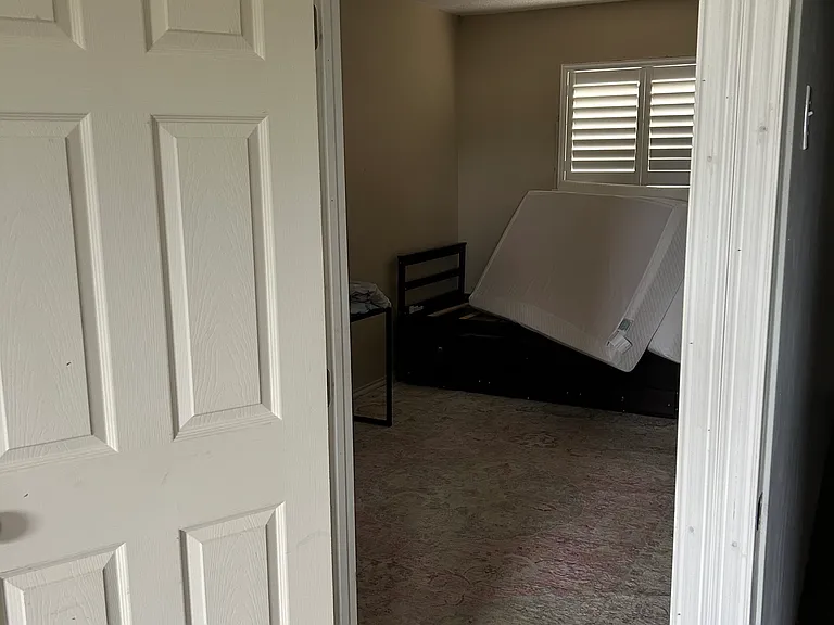 250 County Road 3270 — Photo 9