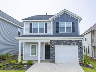 1114 Bergenfield Ln, Chapin, SC, 29036