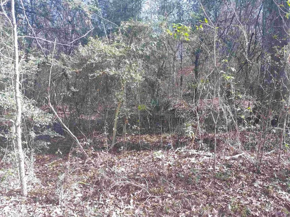 Washington Ln, Greenwell Springs, LA 70739