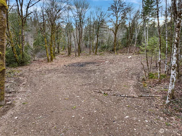 160 E Cascara Cove Lane, Shelton, WA 98584