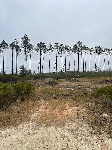 2nd image of Doc Whitfield Rd
