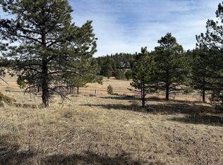 65 Haystack Ct, Livermore, CO 80536