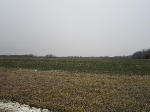 2nd image of 295th St
