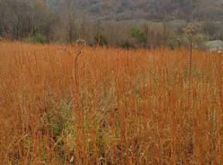 Mountain Mist Dr, Del Rio, TN 37727