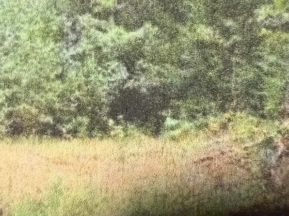 0 Raintree Rd, Roanoke, VA 24018