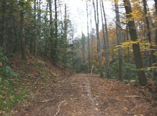 0 Hooper Hwy LOT 17, Cosby, TN 37722
