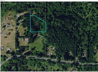 0 NE 399th St, Amboy, WA