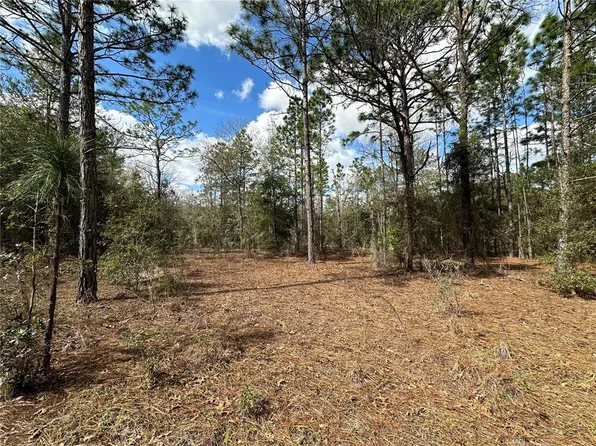21491 SE 73rd Pl #8, Morriston, FL 32668