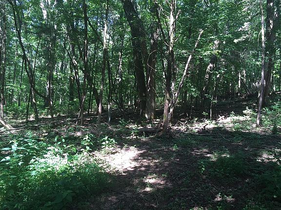 3rd image of 1041 Parsons Private Way Lot 5