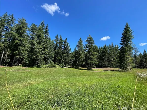 0 XX Lynch Road, McCleary, WA 98557
