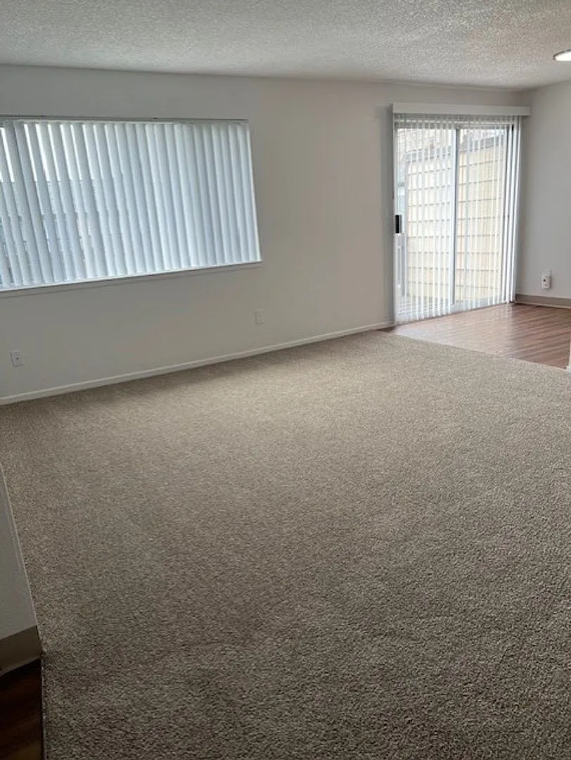 Shannon South Apartments — Photo 3