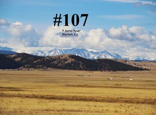 1251 Routt Rd, Hartsel, CO 80449