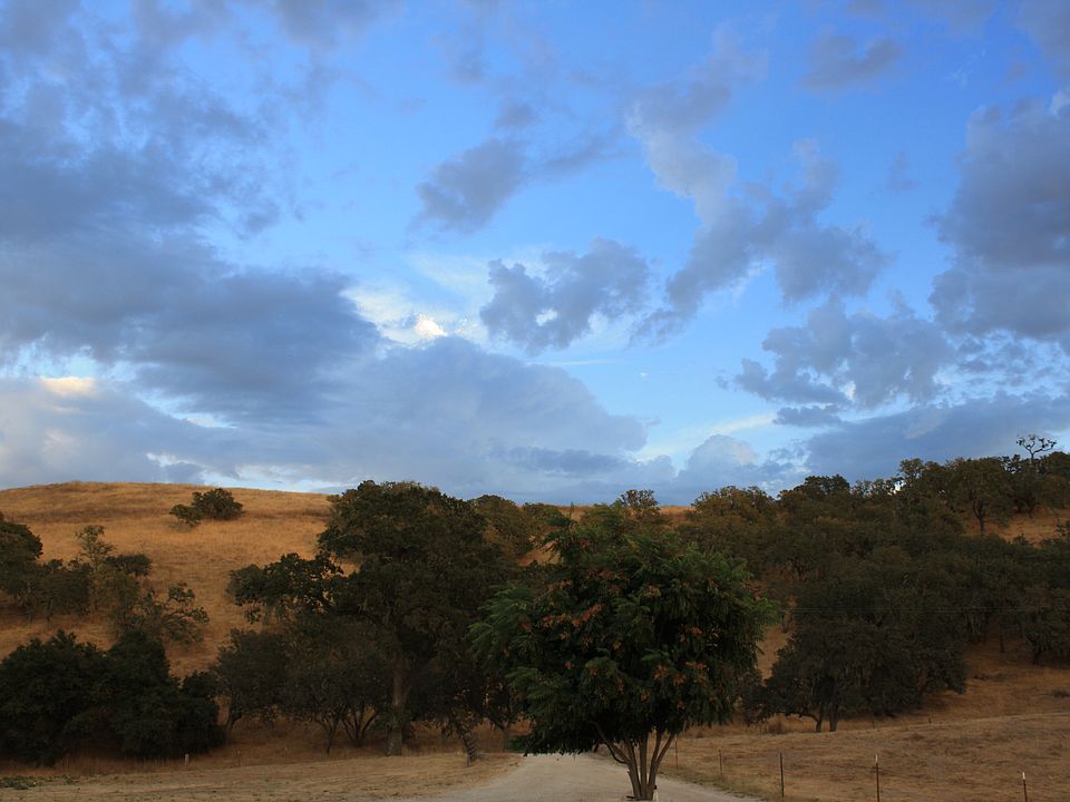 View from front porch