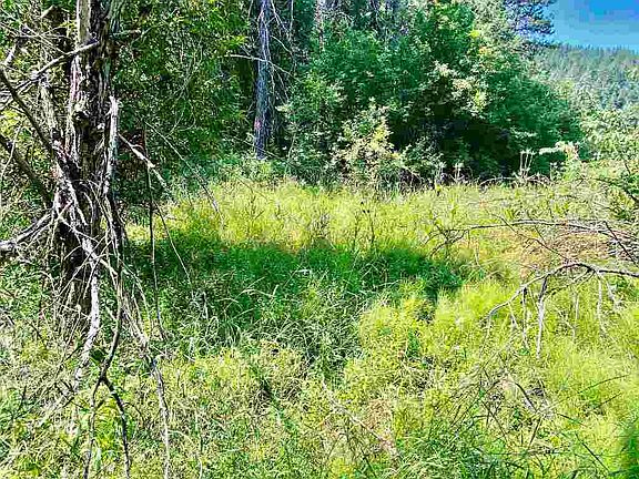 4th image of Shasta Ranch Rd N
