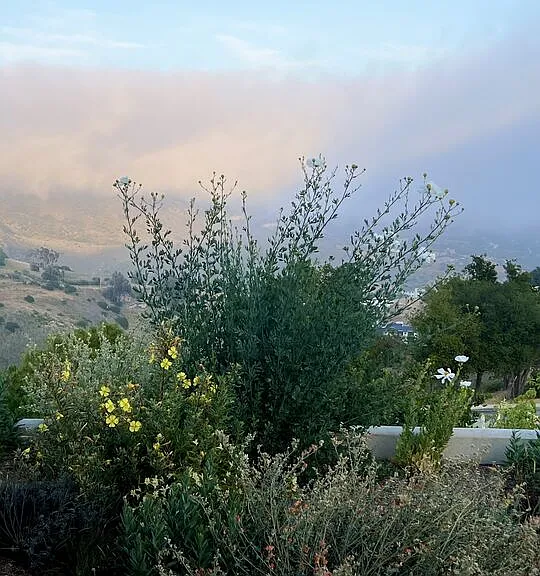 31415 Anacapa View Dr — Photo 33
