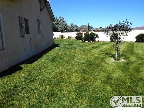 yard (1)