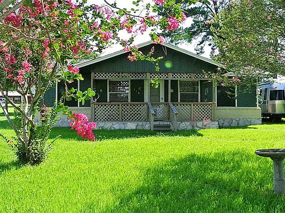 Nice Grass, lots of birds!