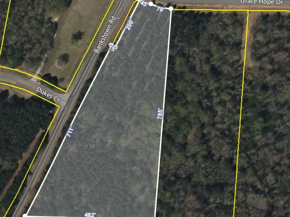 100 Grace Hope Dr, Brooks, GA 30205