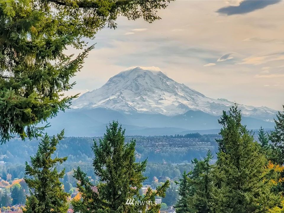 Mt. Rainier From Master Bedroom
