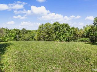 1 Demaree St, House Springs, MO 63051