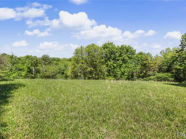 1 Demaree St, House Springs, MO 63051