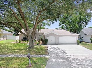 3005 Folklore Dr, Valrico, FL 33596