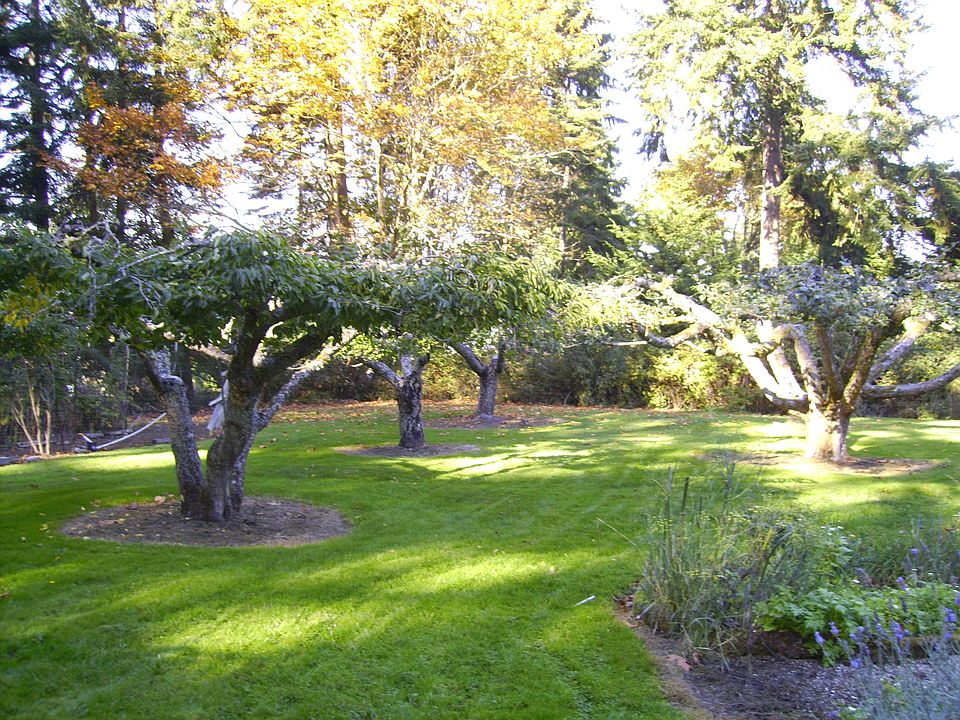 1st image of 103 Woodcreek Way