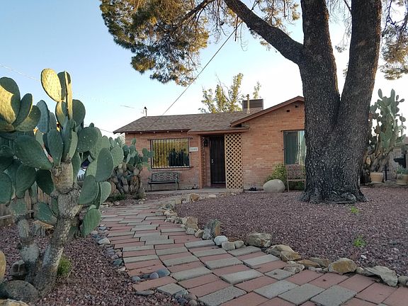 Front of house with giant Aleppo pine