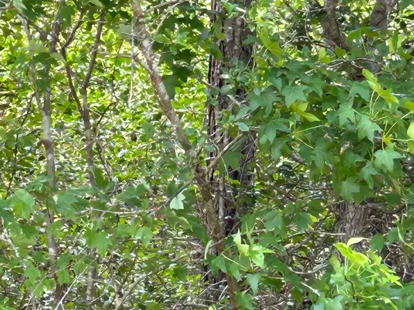 1773 Beech Rd #658-655, Southport, NC 28461