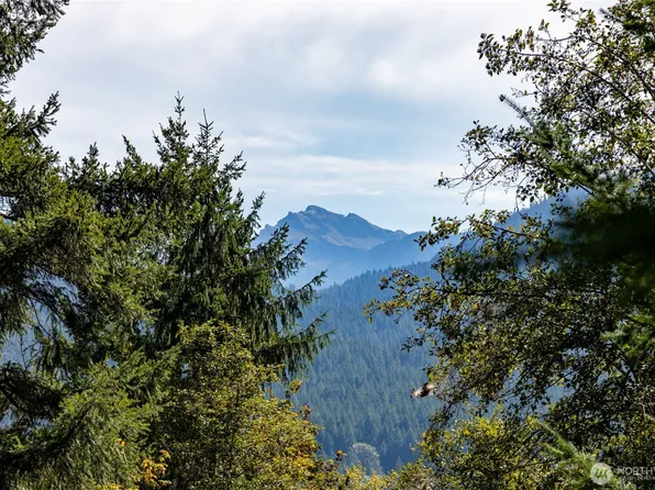 199 Hinkle Tinkle Lane, Packwood, WA 98361