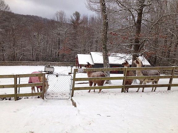 Barn during winter.