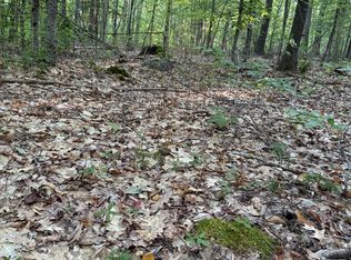 354 Dickinson Hill Rd, Diamond Pt, NY 12824