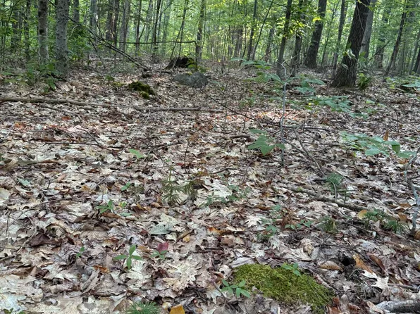 354 Dickinson Hill Road, Bolton, NY 12824