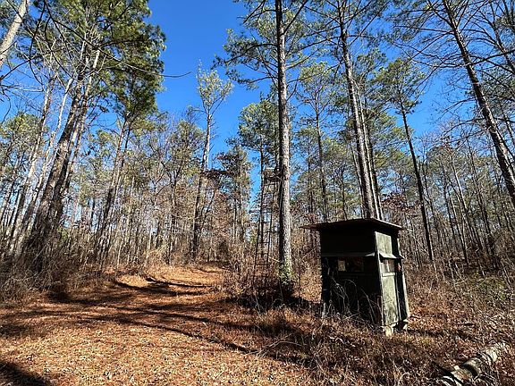 Photo Jan 13 2026 12 06 25 Pm