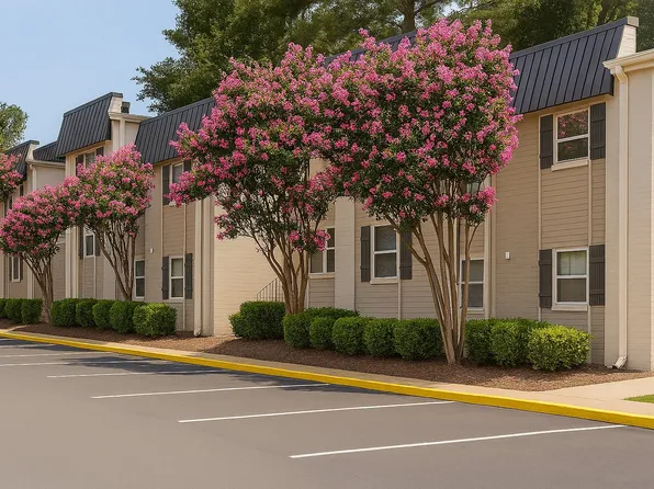 Thirty-One 32 Cypress