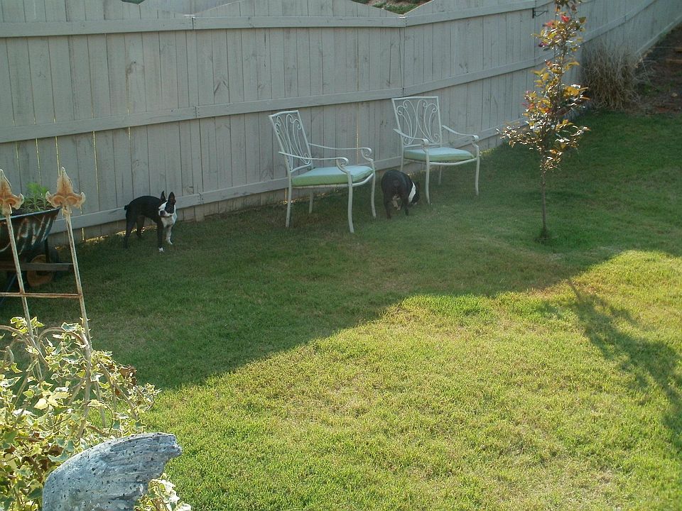 2nd image of 123 Mercer Dr