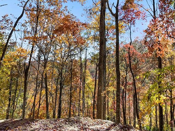 5th image of 0 Waterfall Hollow Rd