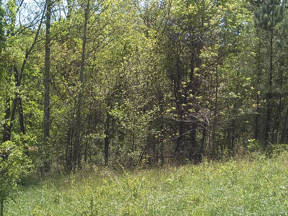 cleared and open flat area