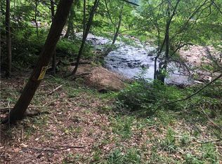 99999 Dillingham Rd, Barnardsville, NC 28709