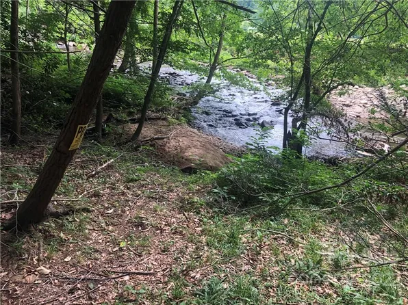 99999 Dillingham Rd, Barnardsville, NC 28709