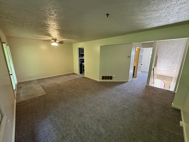 233 Fieldbrook Dr