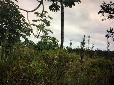 6th Ave, Keaau, HI, 96749